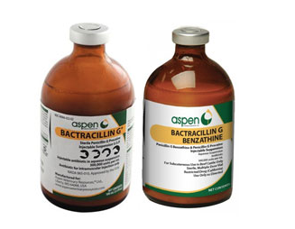 Injectable Penicillin 100ml & 250ml